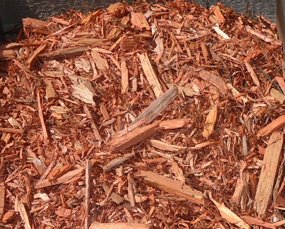 Red_cedar_mulch_in_New_Jersey_April