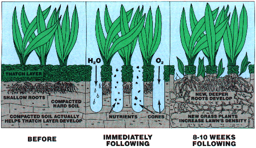 aeration