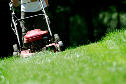 grass_cutting